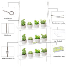 Sumerflos in-use shelves filled with succulents to maximize sunlight for growth