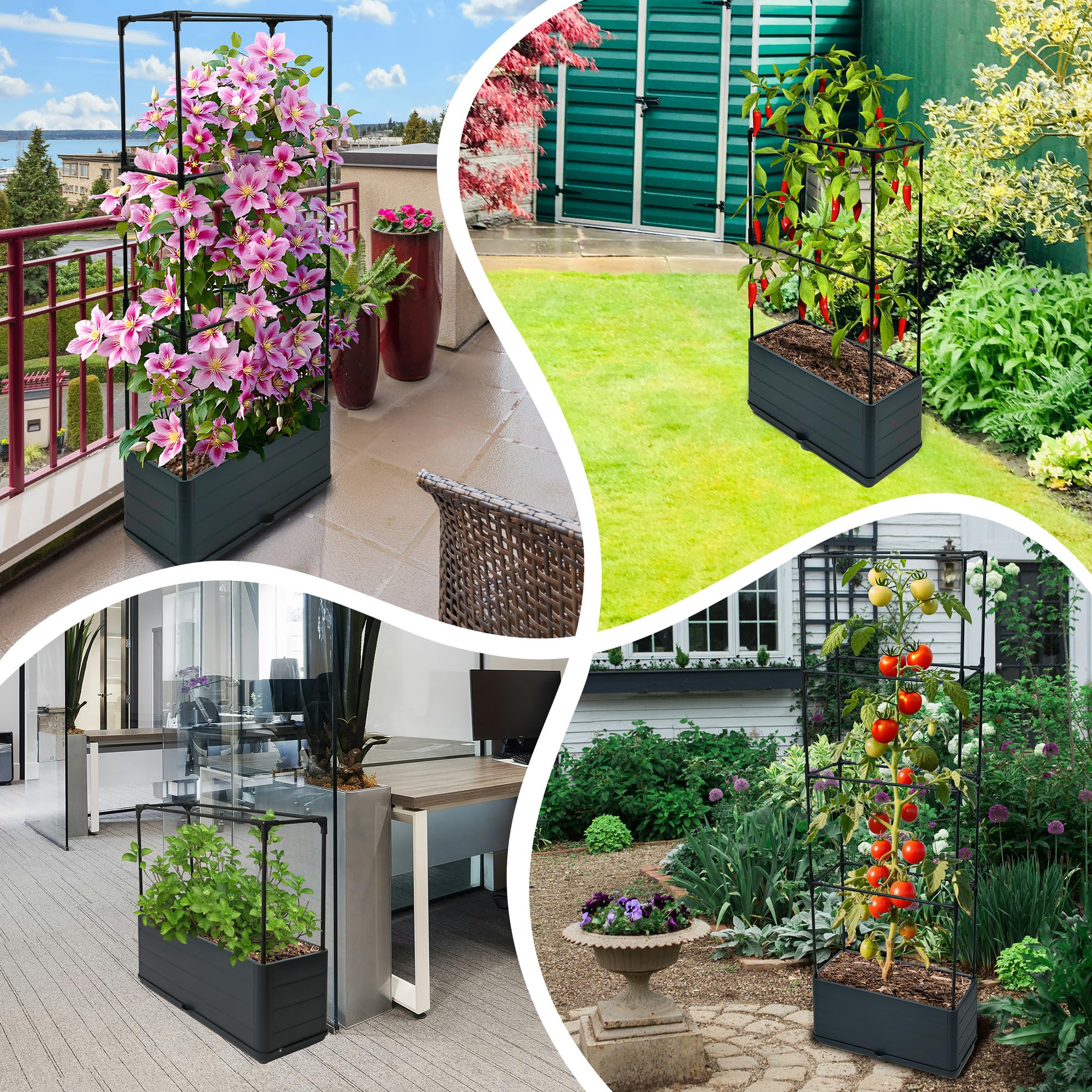 Sumloty balcony lifestyle setup showing compact gardening and decorative benefit