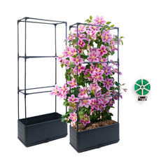 Sumloty front view assembled planter trellis showing space-saving vertical growth benefit