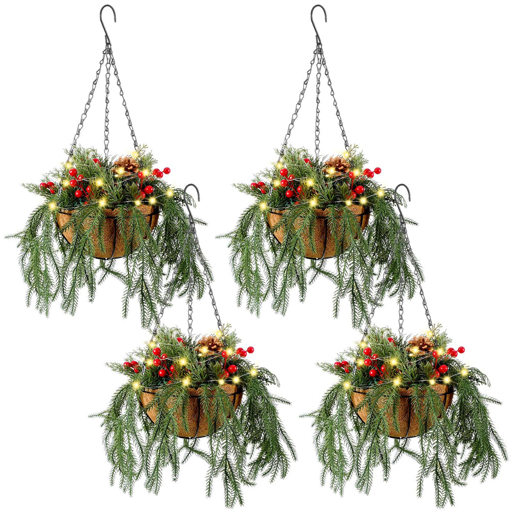 Suncalla front view of hanging basket showing festive assembled look and curb appeal