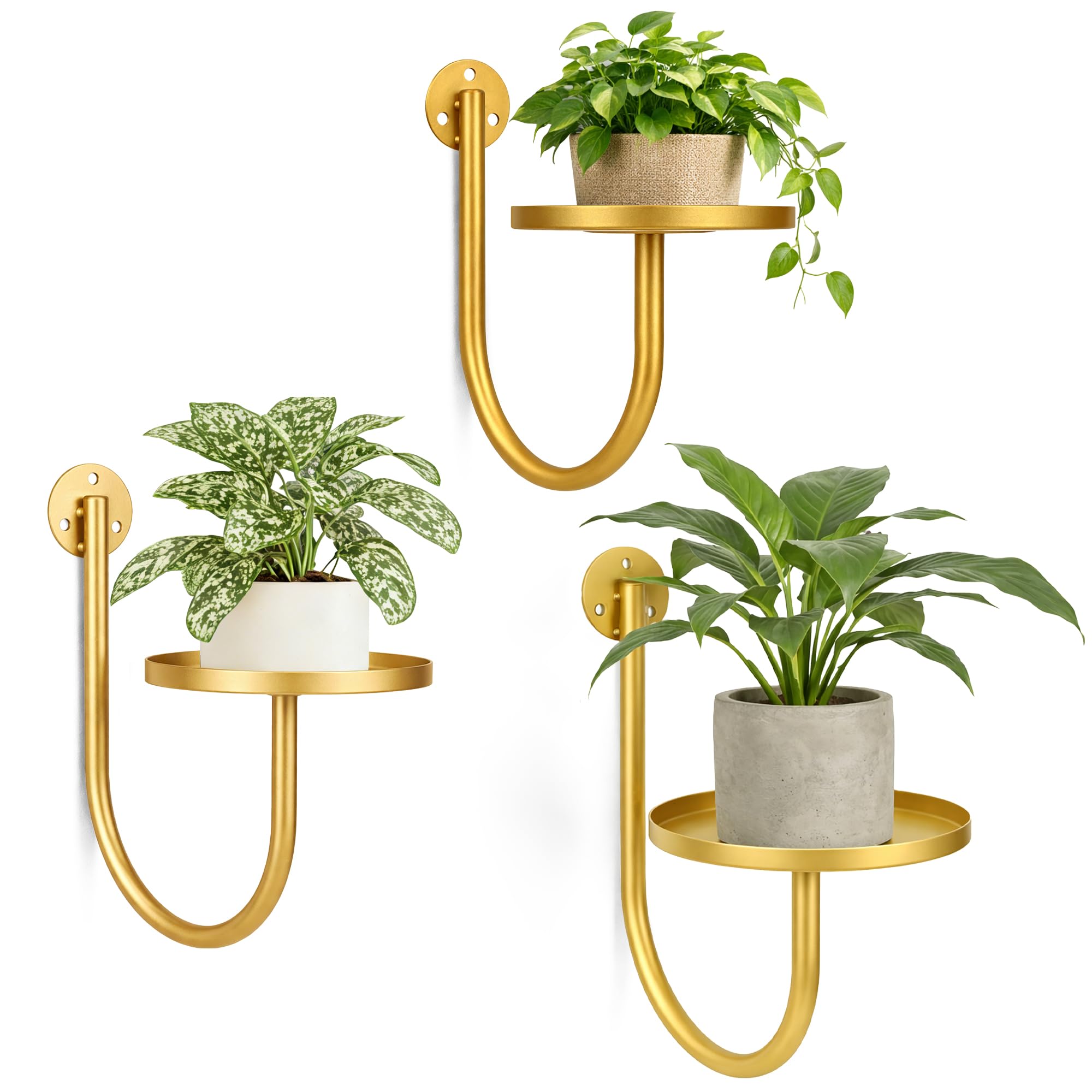 SUNCKET front view of three golden wall plant holders showing sleek modern design and space saving