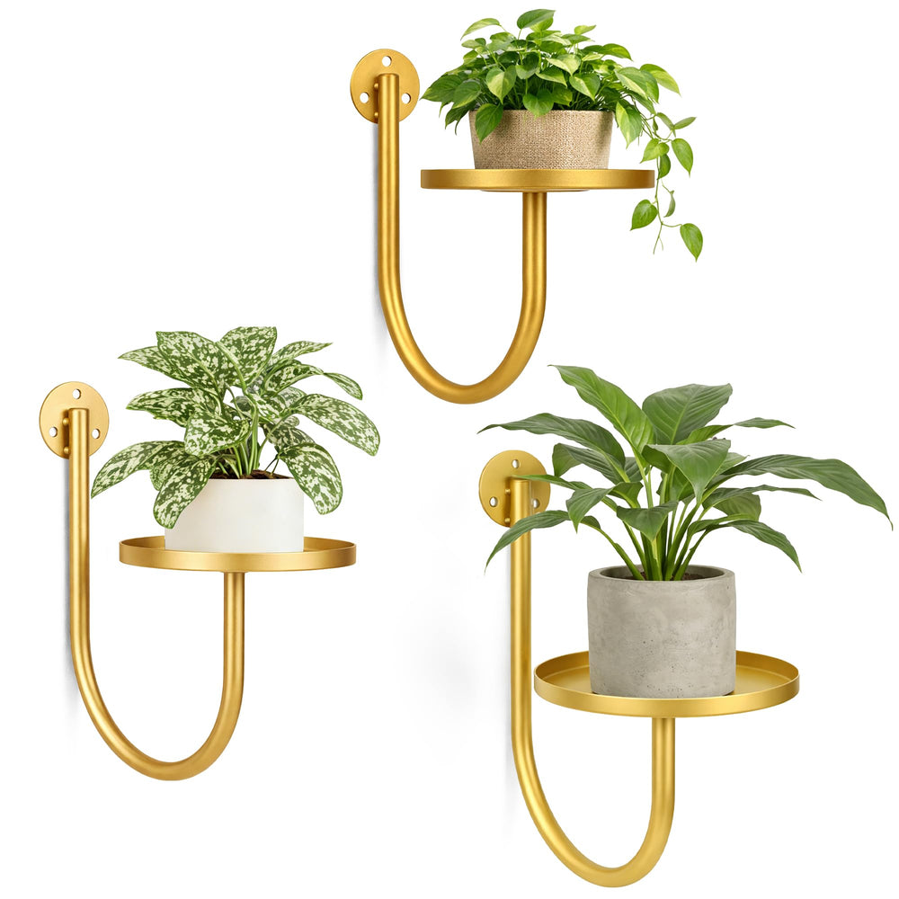 SUNCKET front view of three golden wall plant holders showing sleek modern design and space saving