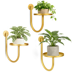 SUNCKET front view of three golden wall plant holders showing sleek modern design and space saving
