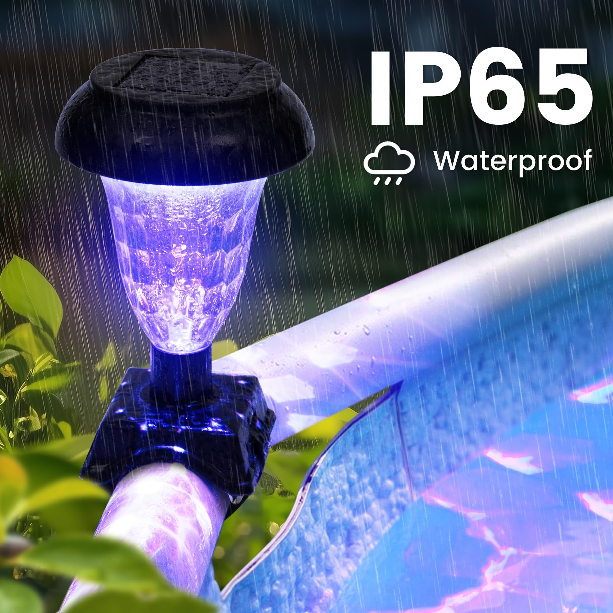 SUNCKET RGB lights at night creating vibrant ambiance