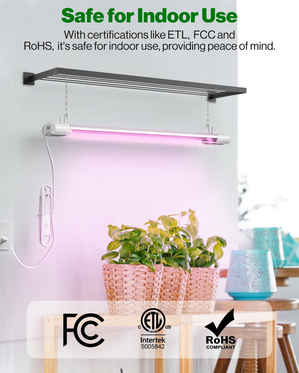 Sunco product label close-up highlighting 5-year warranty benefit
