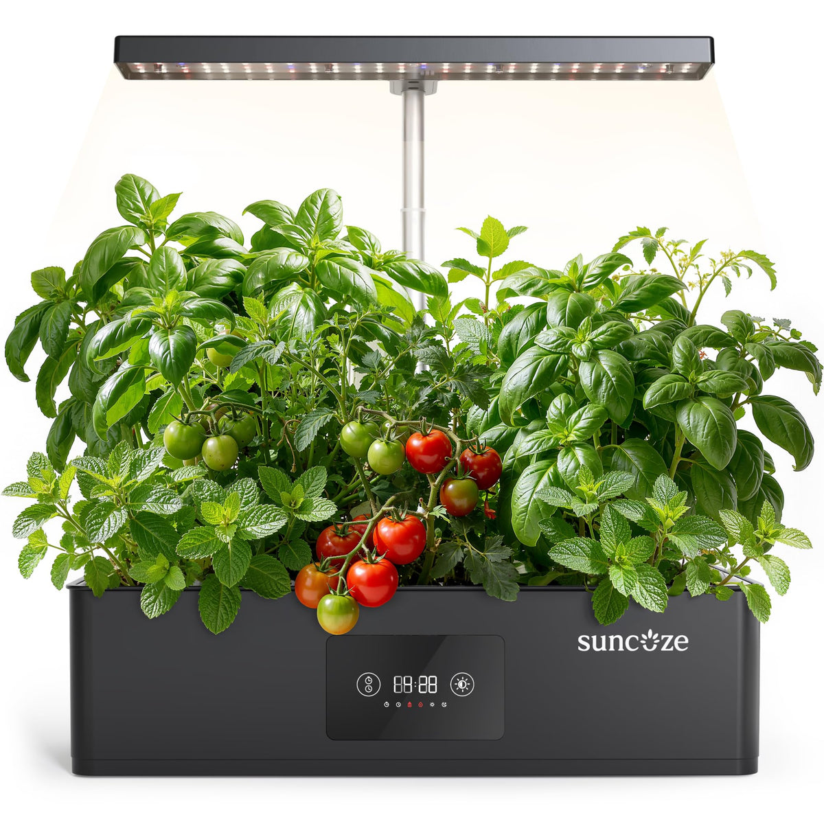 SUNCOZE front view of compact indoor garden showing pods and black base, saves countertop space