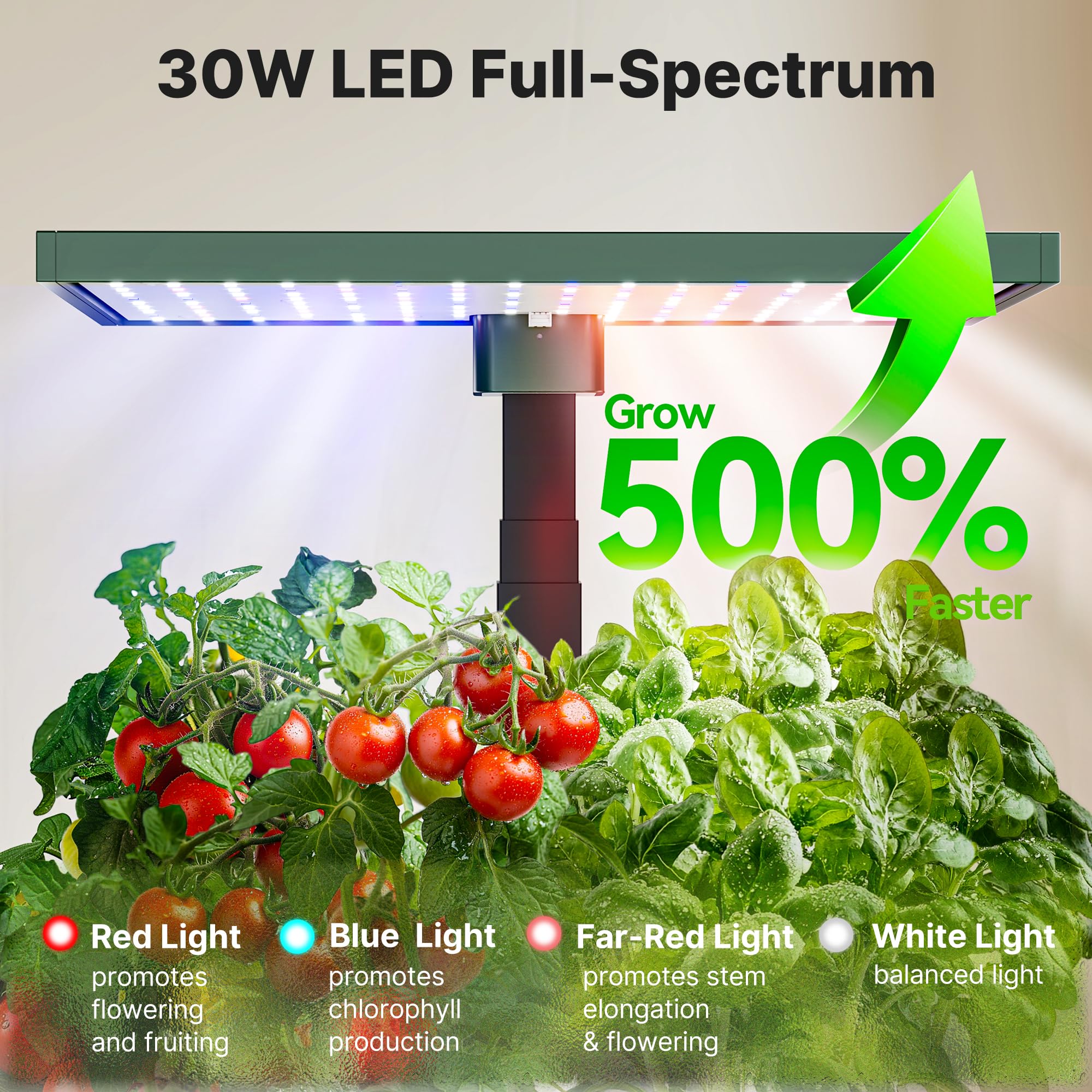 SUNCOZE support sticks stabilizing plants showing upright growth support