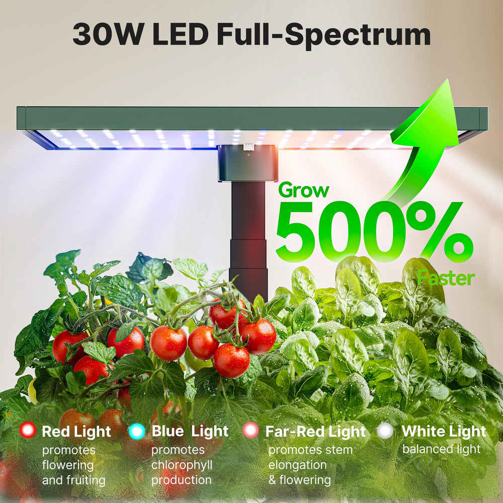 SUNCOZE support sticks stabilizing plants showing upright growth support
