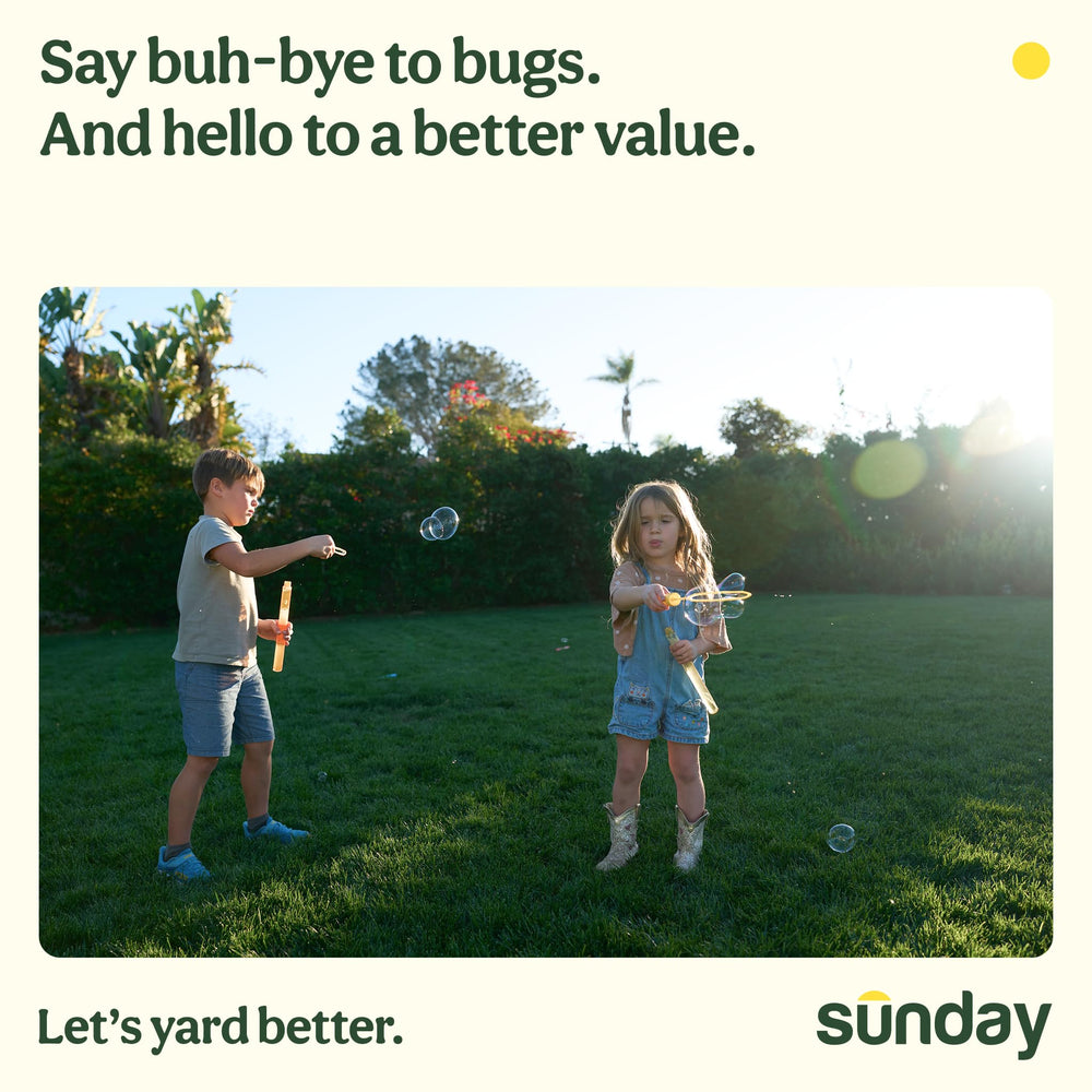SUNDAY applied in garden near plants illustrating yard protection