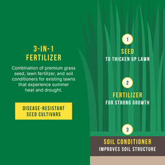 SUNDAY soil cross section with roots — highlights improved soil and root strength