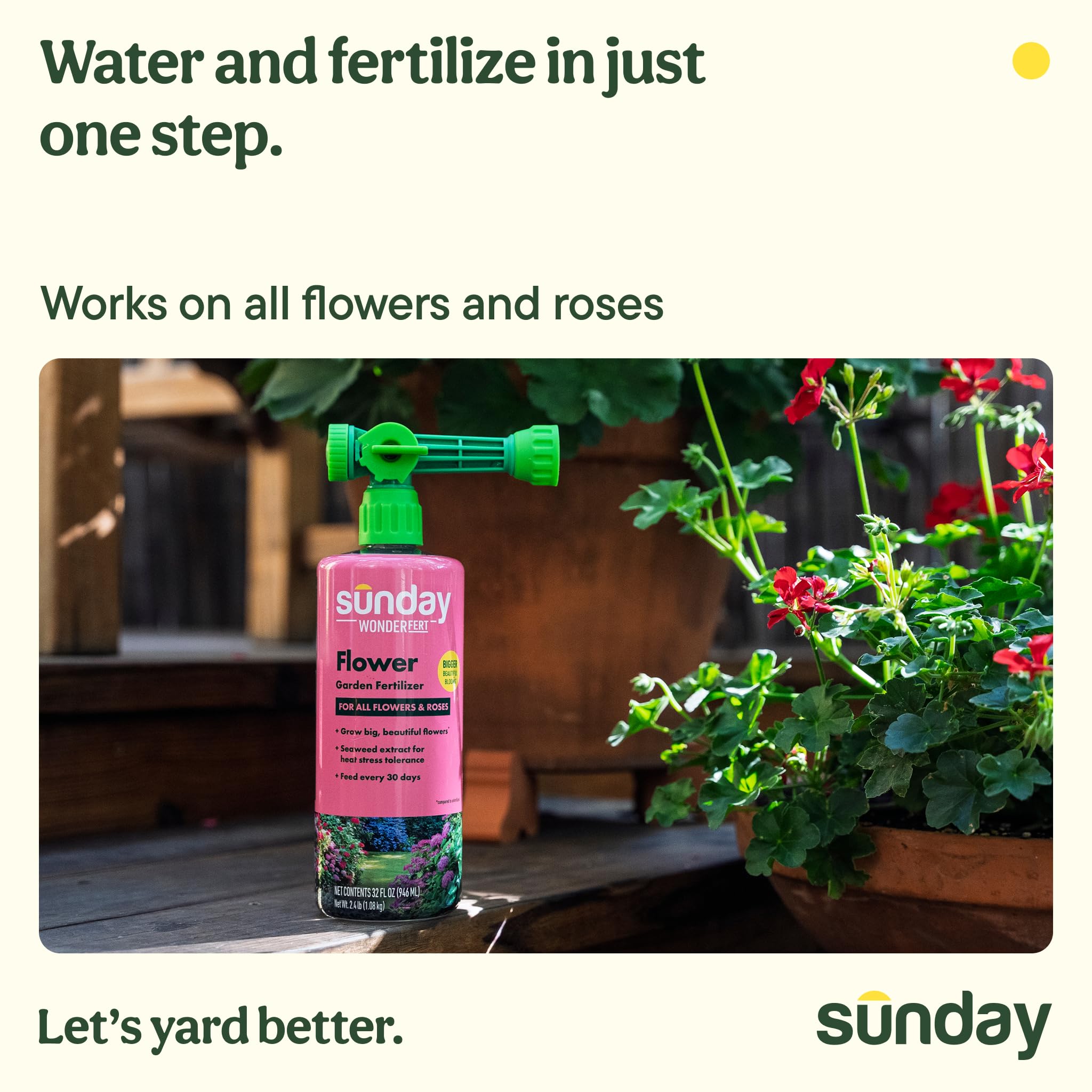 SUNDAY back label with directions and application details for safe use