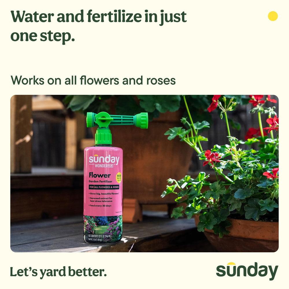 SUNDAY back label with directions and application details for safe use
