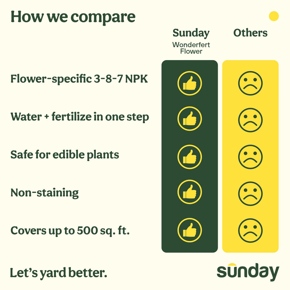 SUNDAY used on patio container with vibrant flowers, boosting bloom display