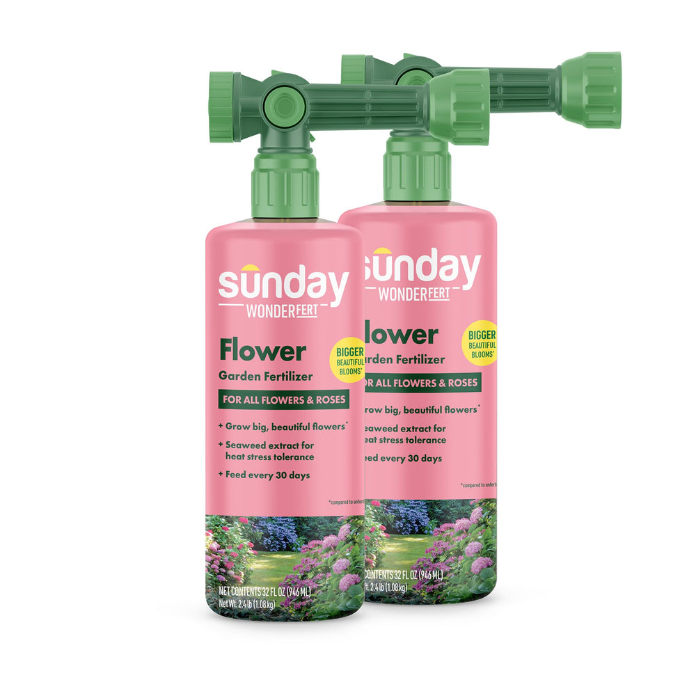 SUNDAY bottle front label showing product name and bloom benefit