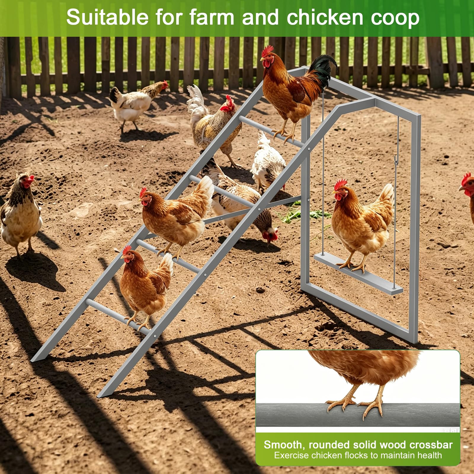 Sunexinlo with bantam chicken for scale showing comfortable fit and seating