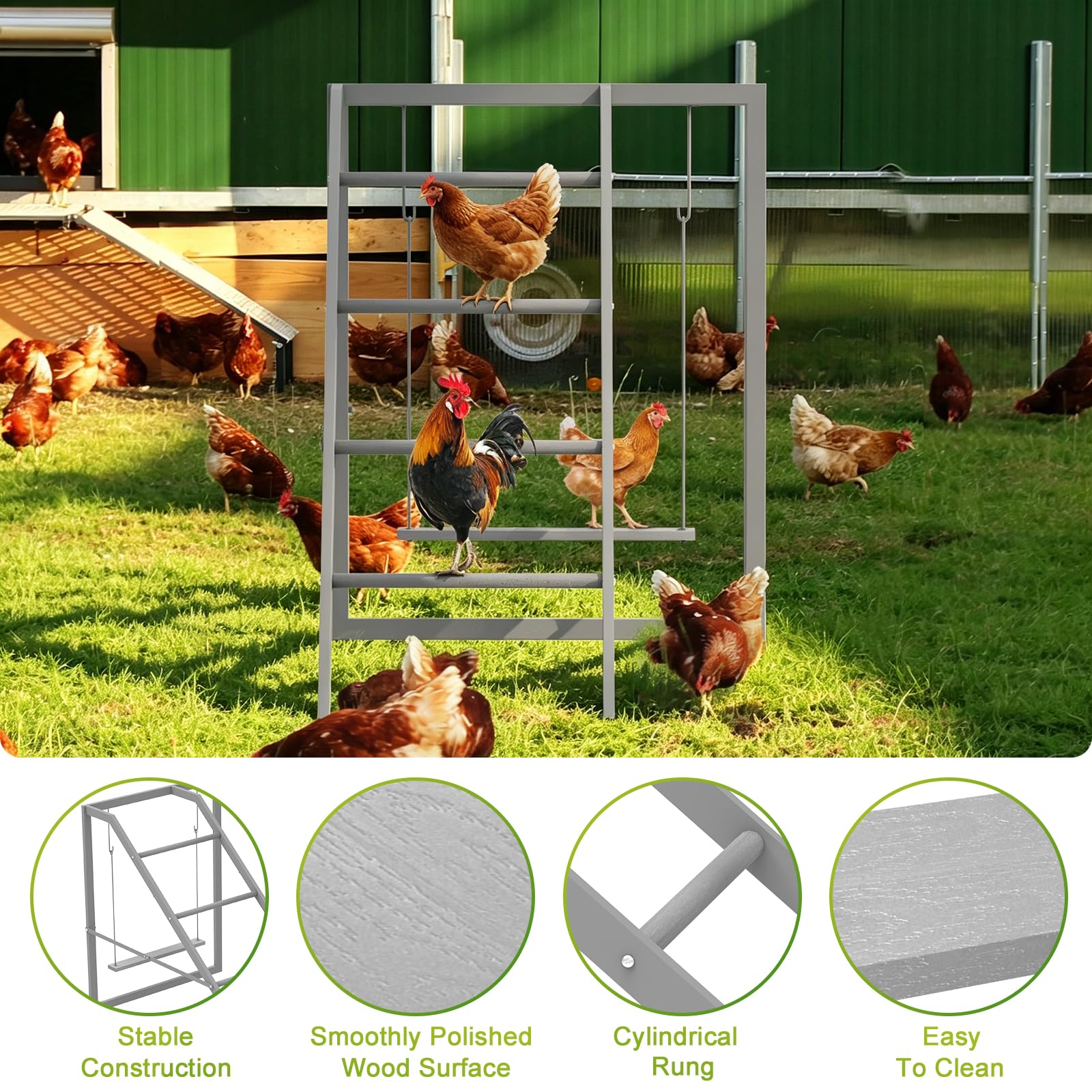 Sunexinlo detailed shot of hanging swing seat encouraging chicken balance and play
