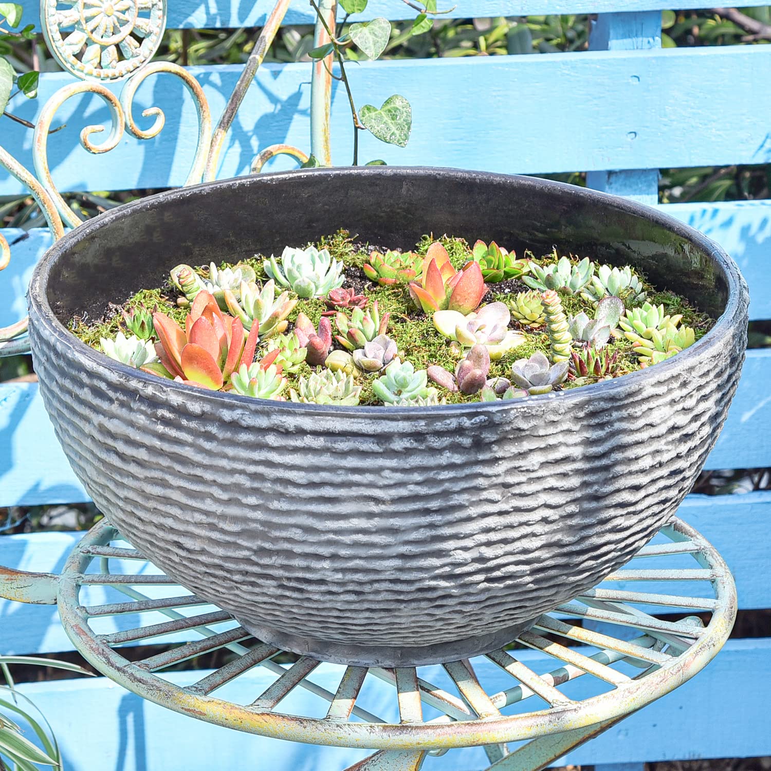Sungmor bowl filled with succulents showing planting versatility benefit