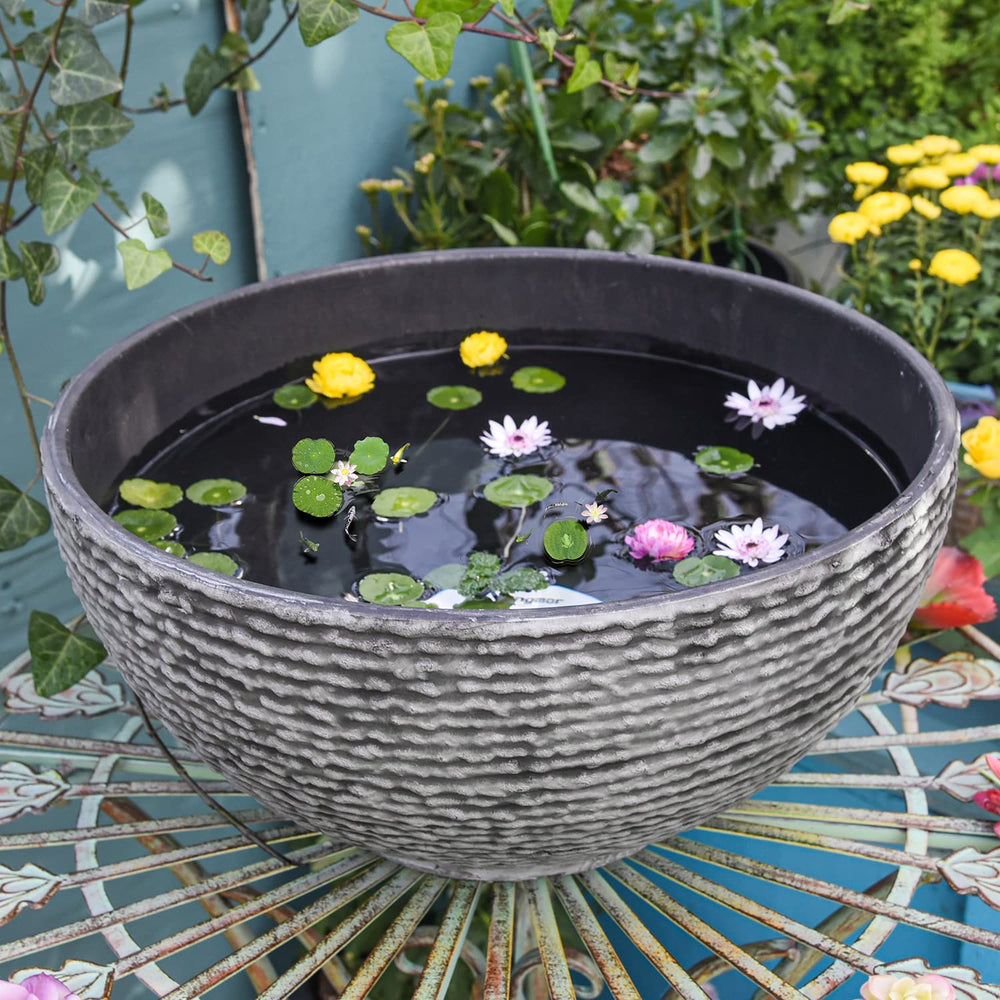 Sungmor ash black front view showing minimalist bowl and stable rim benefit