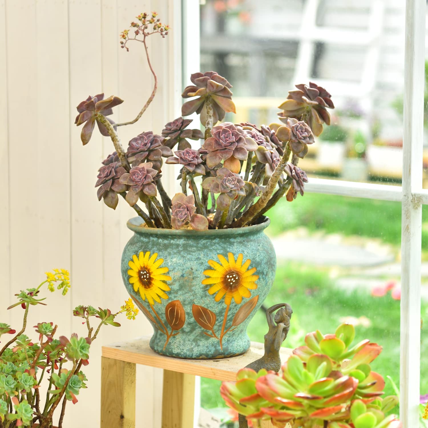 Sungmor on styled shelf illustrating how it enhances room decor