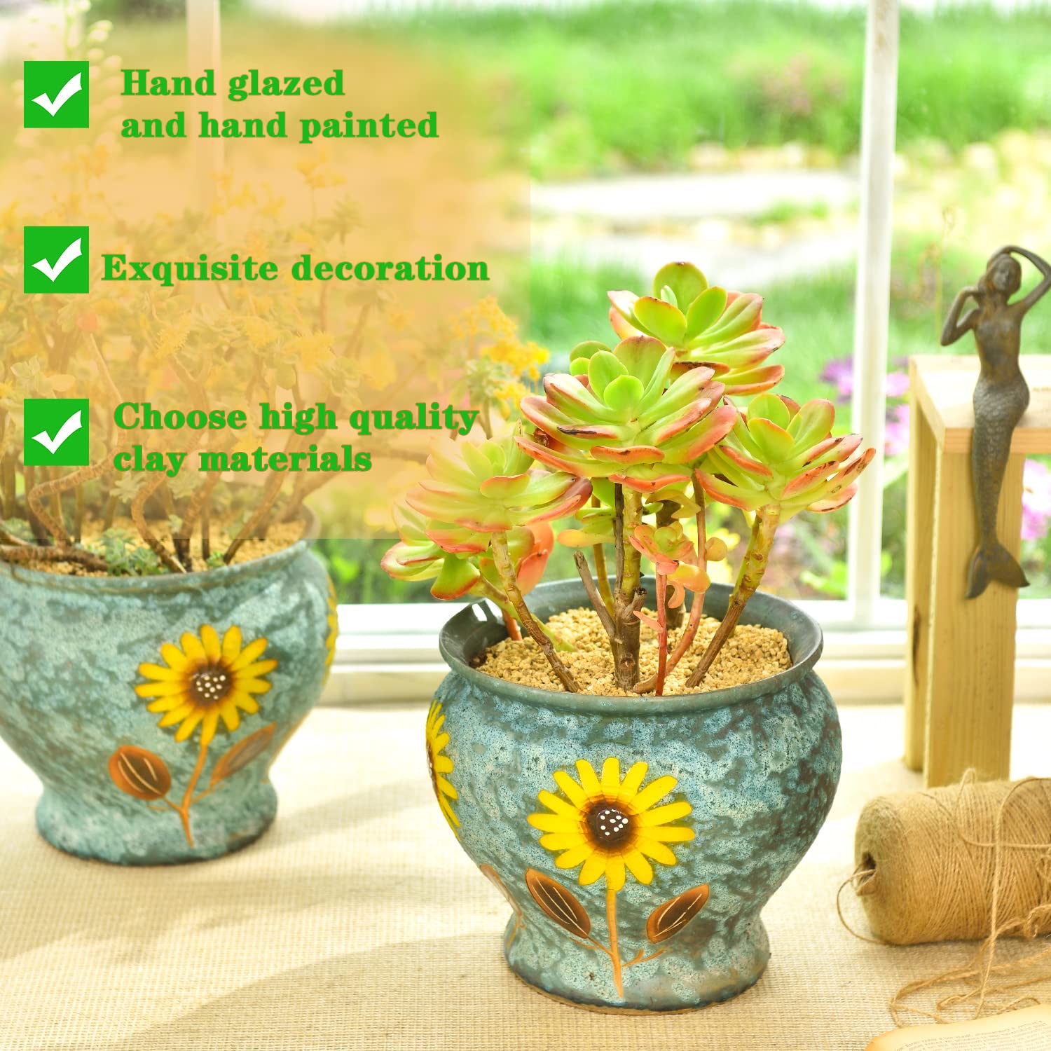 Sungmor next to ruler for 9 inch size clarity and space planning help