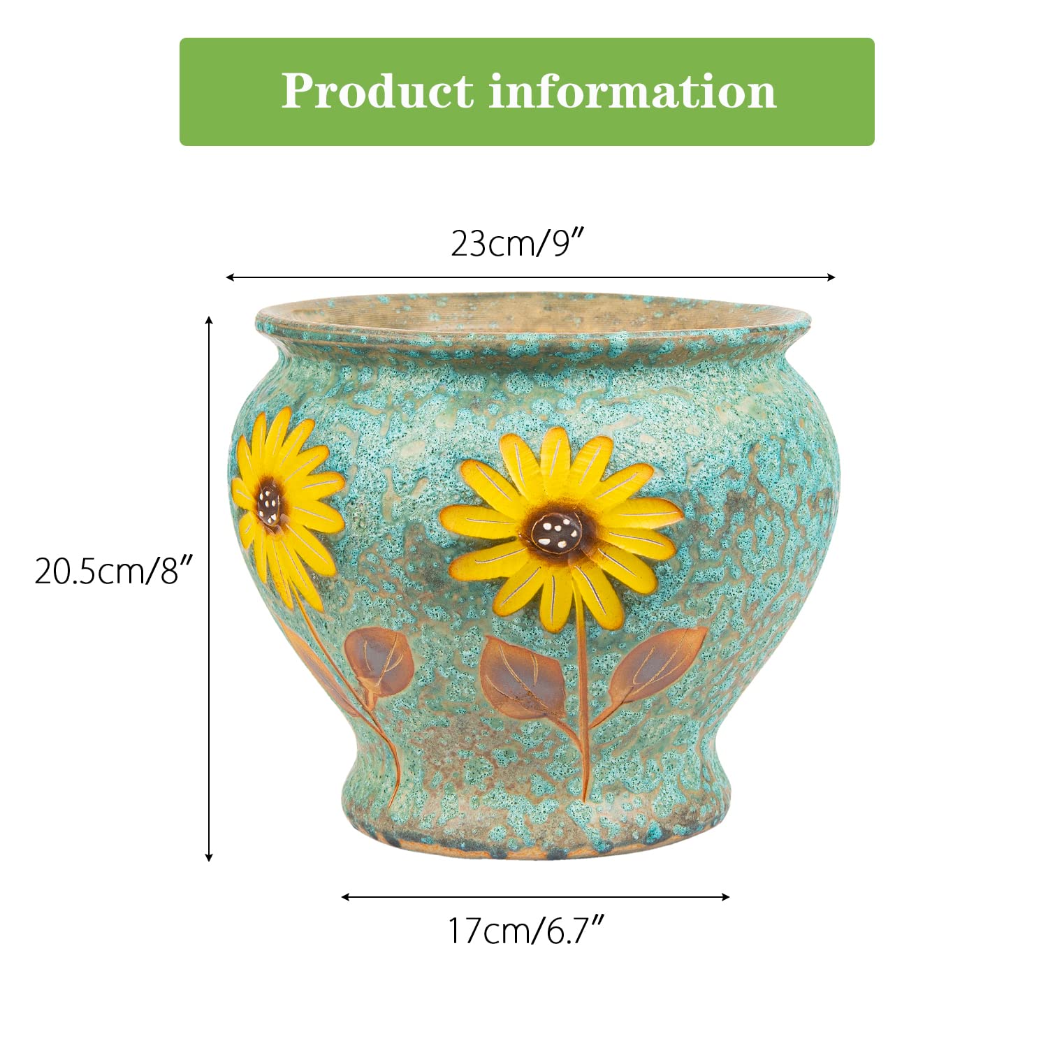 Sungmor planter holding a succulent demonstrating proper fit and display