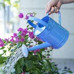 Sungmor bright blue watering can front view showing color and size benefit