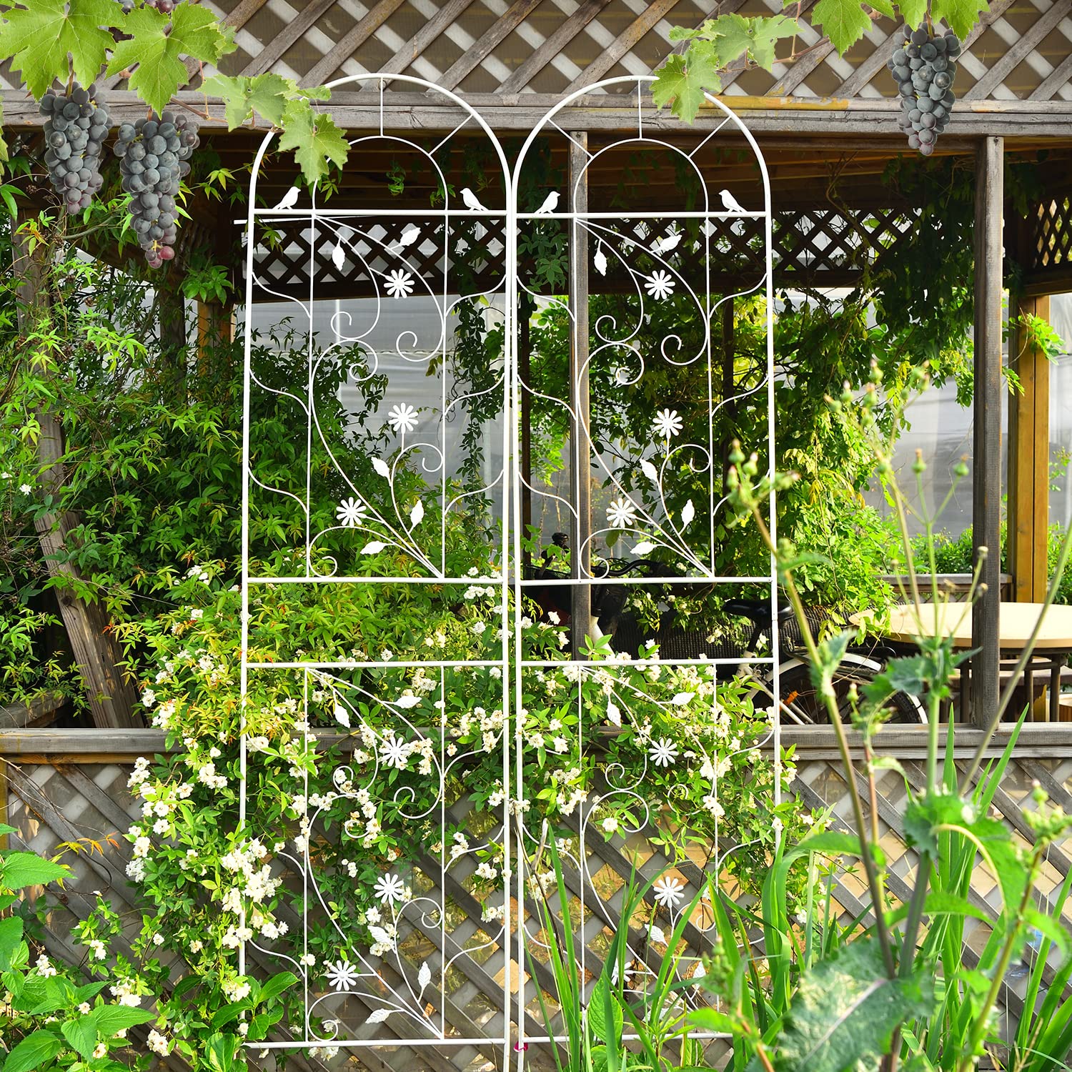Sungmor close up lattice connection showing sturdy iron joins and support