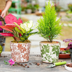 Sungmor ceramic planter drainage hole detail protecting plants from overwatering