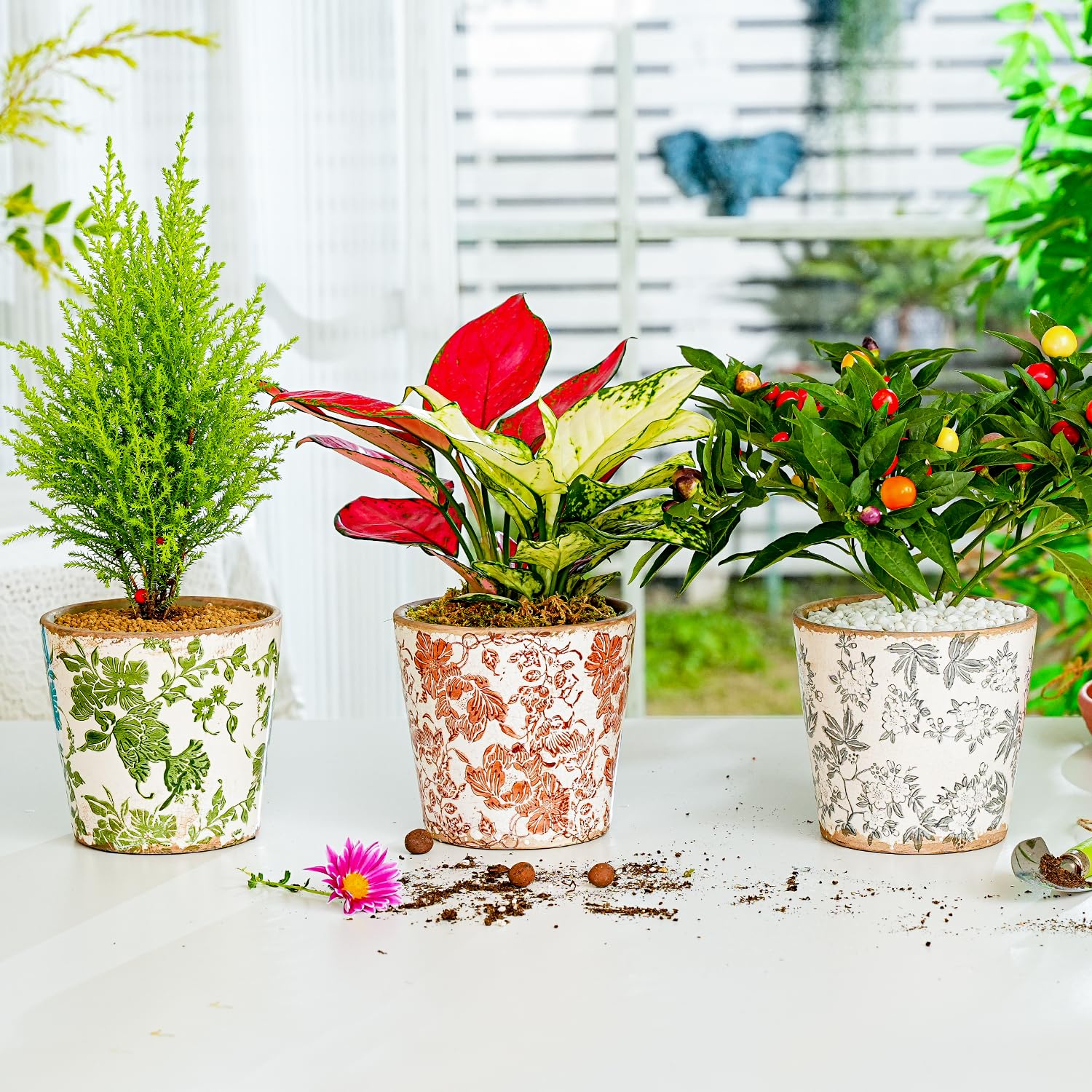Sungmor gift wrapped planter set presented as ready housewarming gift