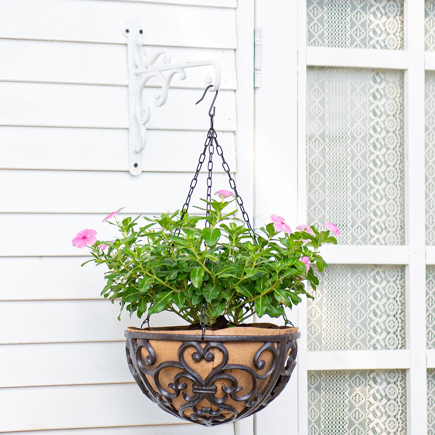 Sungmor hook holding planter demonstrating reliable support for potted plants benefit
