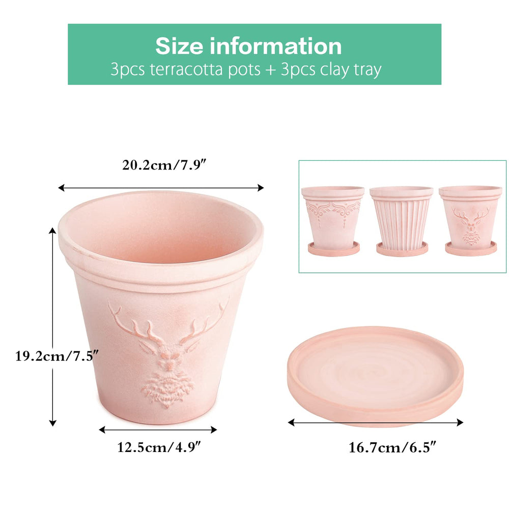 sungmor scale comparison hand next to pot showing true 8-inch size