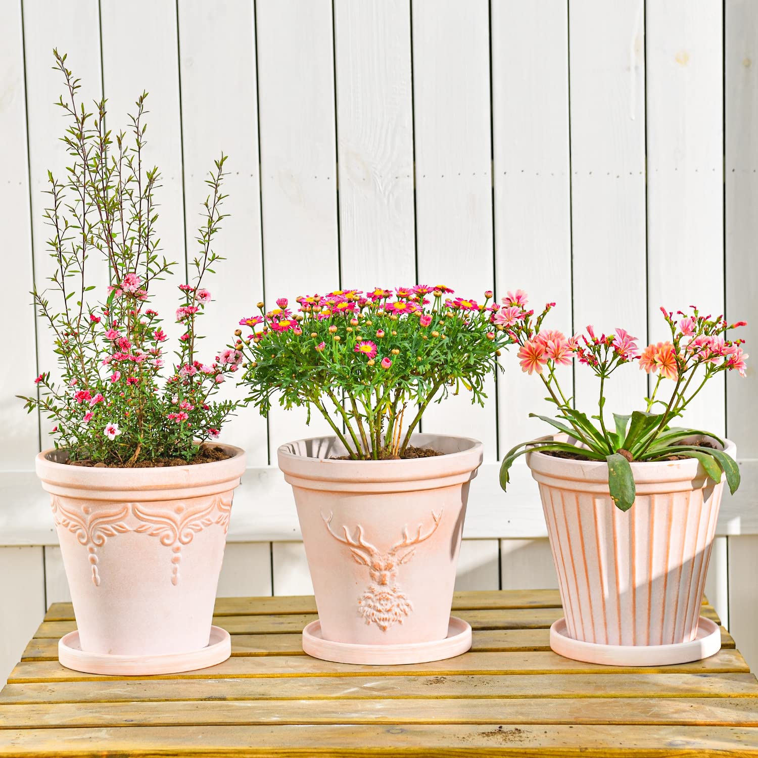 sungmor three pots on windowsill lifestyle showing coordinated display benefit