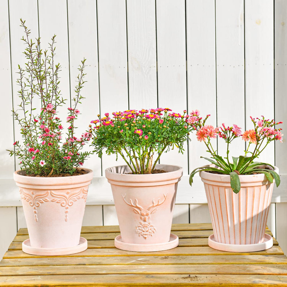 sungmor three pots on windowsill lifestyle showing coordinated display benefit
