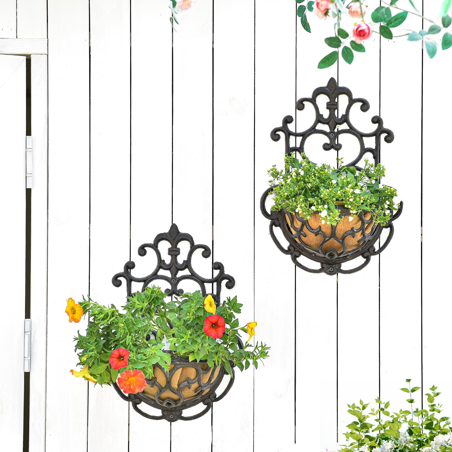 Sungmor planter with trailing plants demonstrating decorative curb appeal