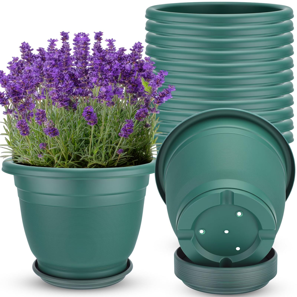 Sunnychicc front view of 12-pack green planters showing uniform aesthetic and convenience