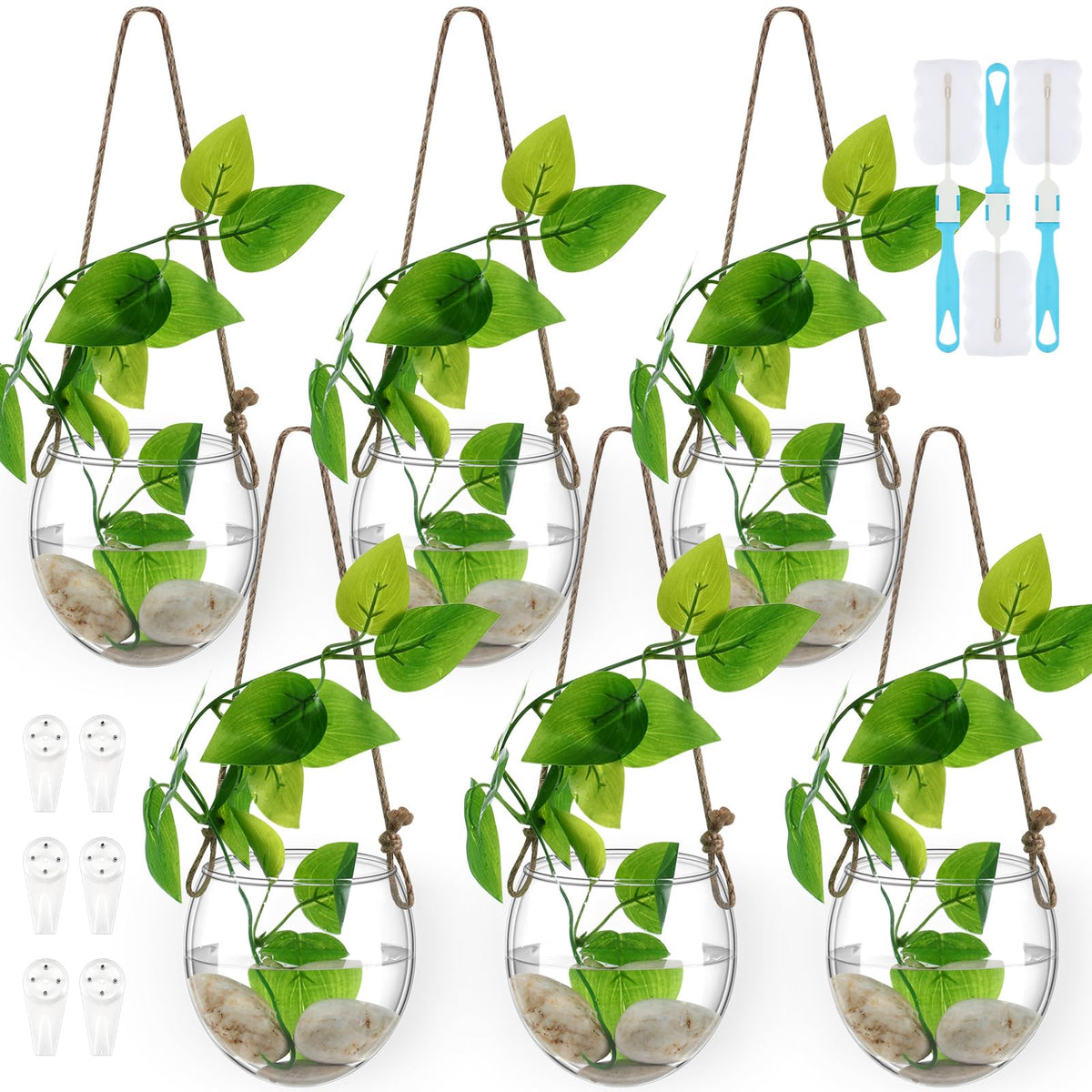 Sunnychicc front view of six hanging glass planters showing elegant display and space-saving benefit