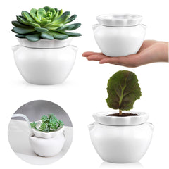 Sunnychicc white ceramic front view showing elegant self-watering pots and clean finish