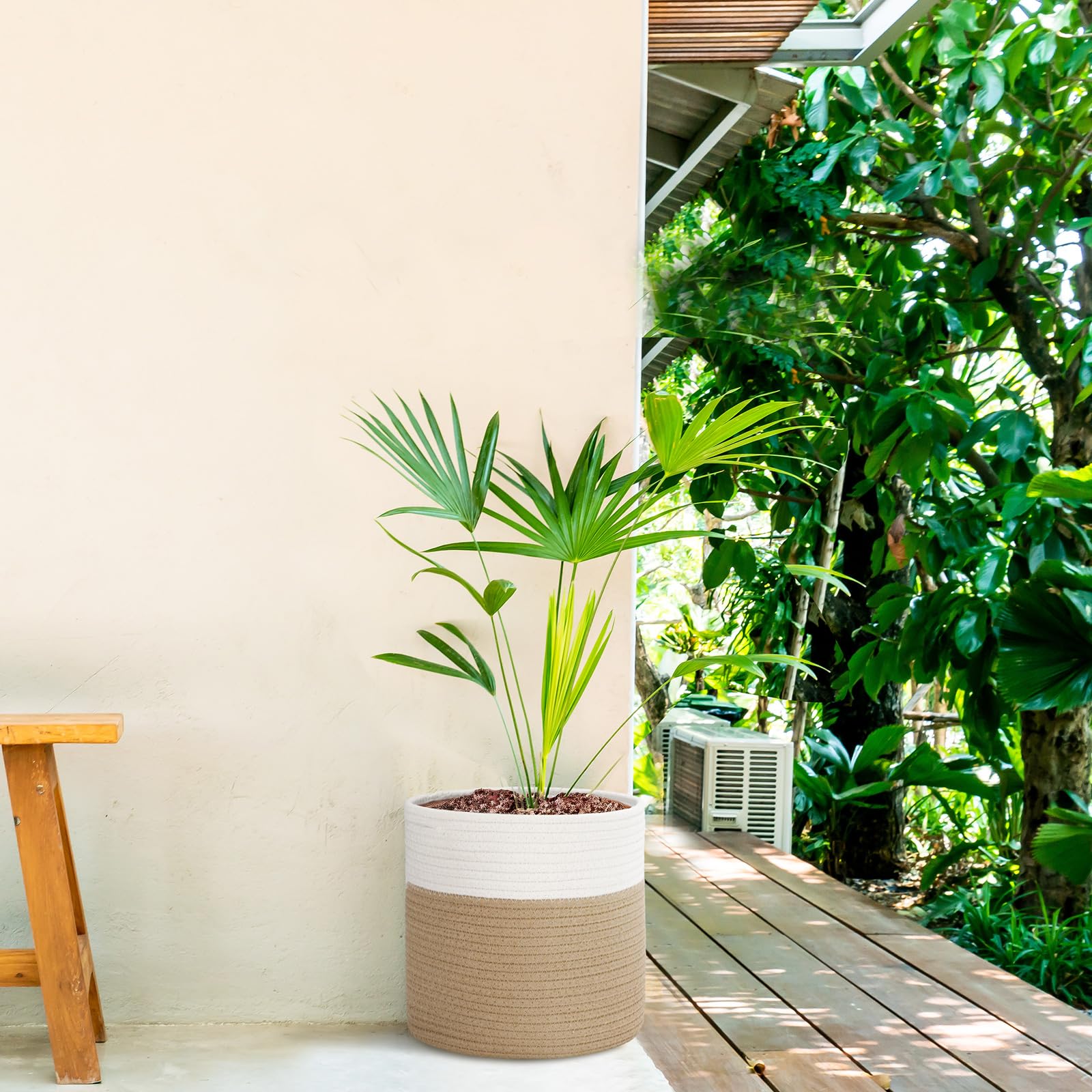 Sunnychicc placed in living room styling plants for a tidy, natural decor benefit