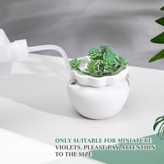 Sunnychicc size comparison with ruler showing 4-inch outer pot scale for small plants