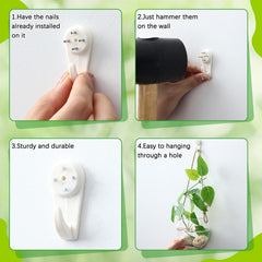 Sunnychicc single planter showing wide opening for easy propagation and cleaning