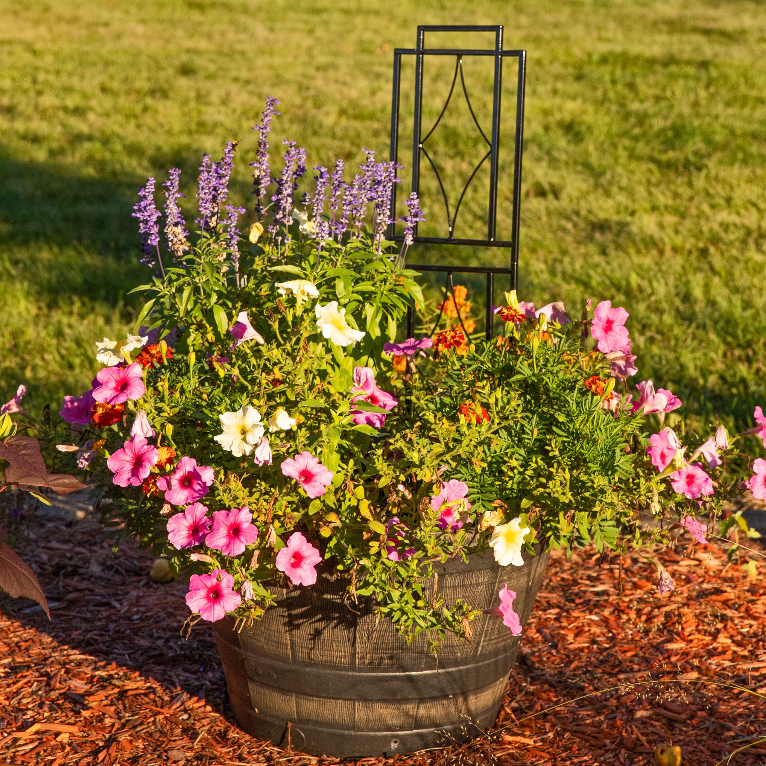 Sunnydaze two trellises flanking a doorway creating symmetrical garden accents