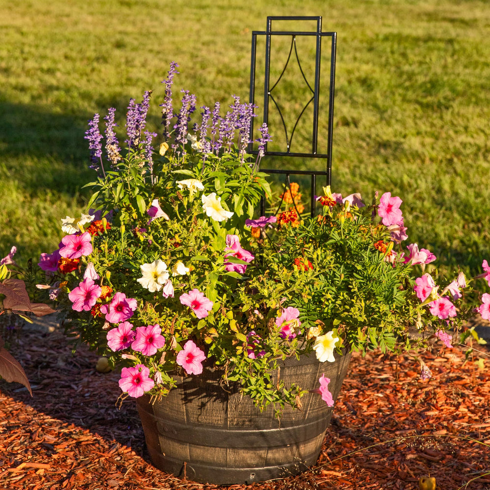 Sunnydaze two trellises flanking a doorway creating symmetrical garden accents
