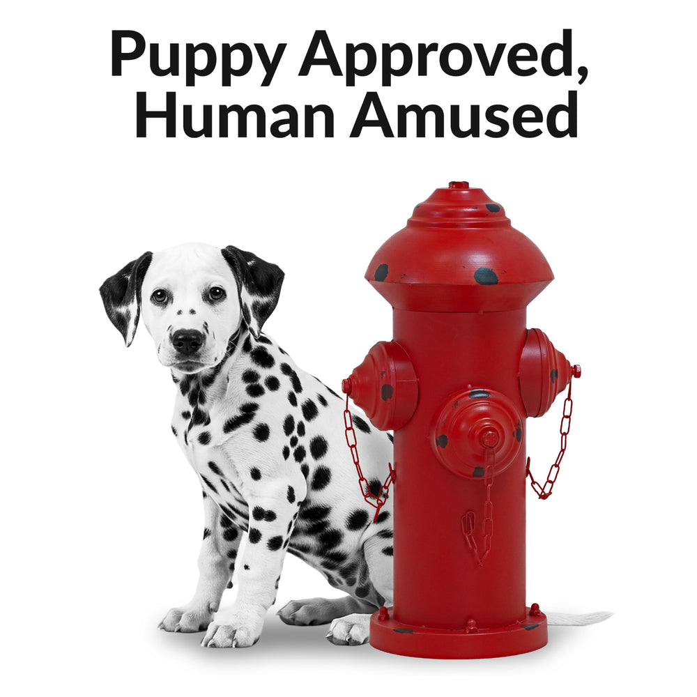 Sunnydaze hydrant with dog demonstrating intended use and consistency