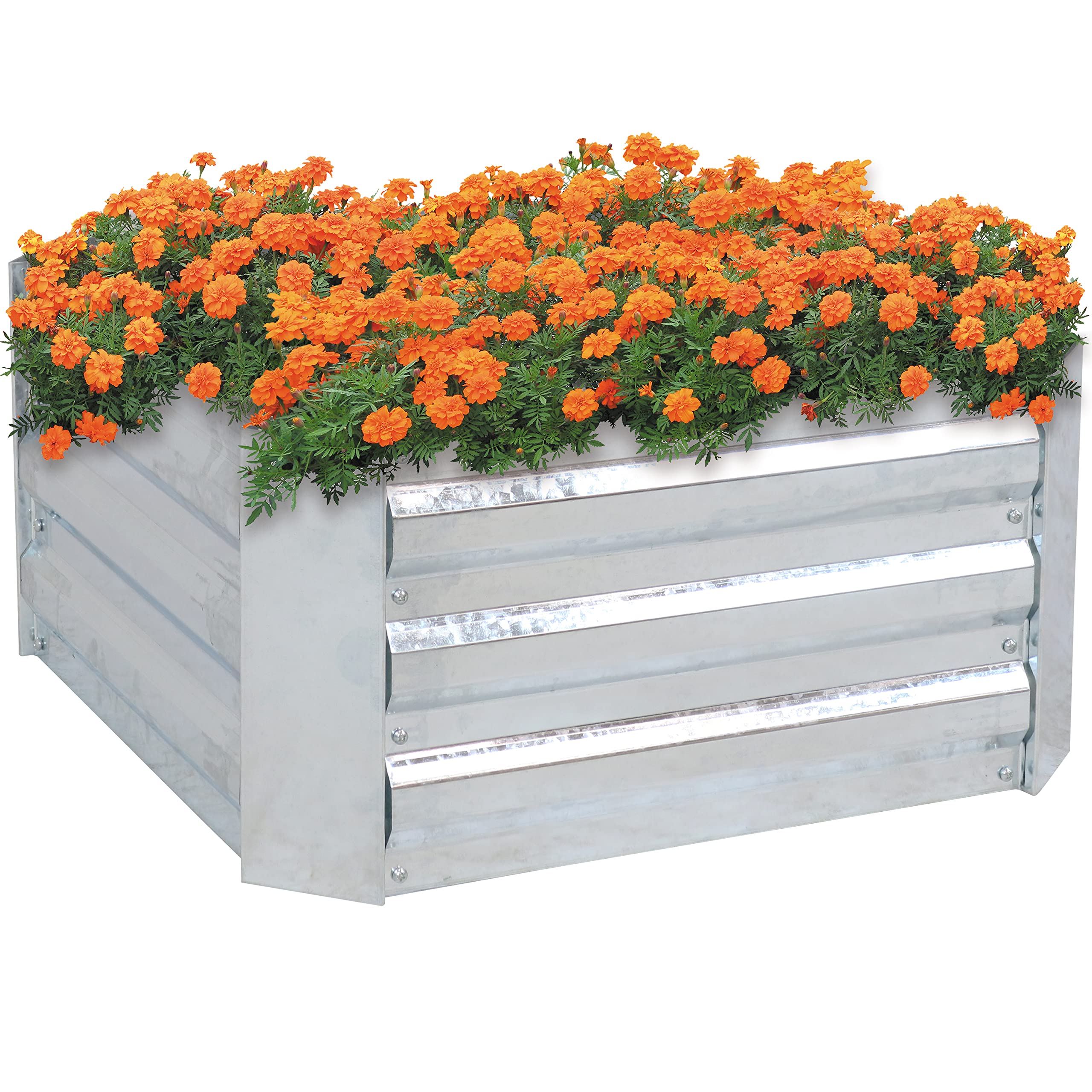 Sunnydaze front view of square galvanized bed shows neat planting area and durable finish