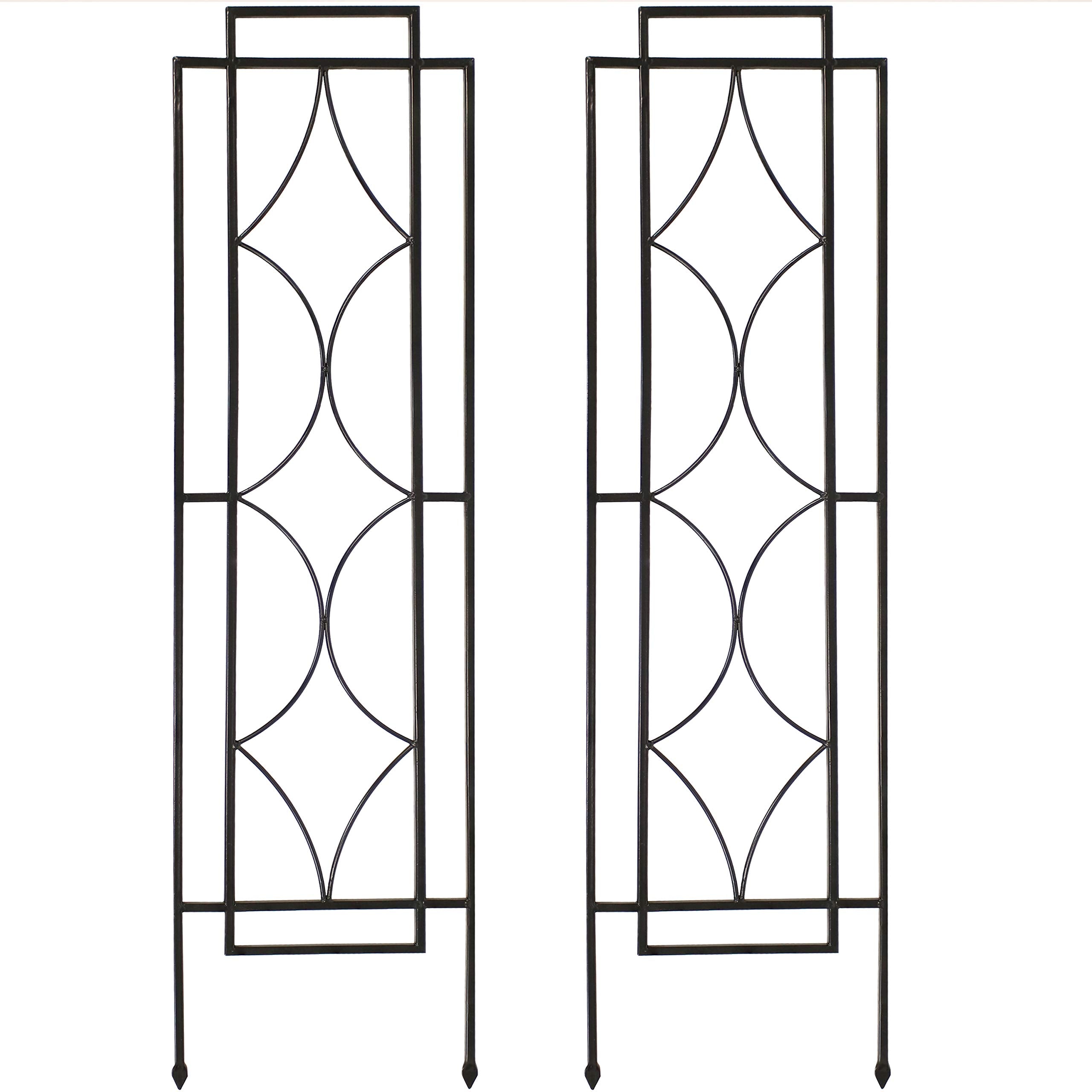 Sunnydaze front view of two black metal trellises adds vertical garden structure
