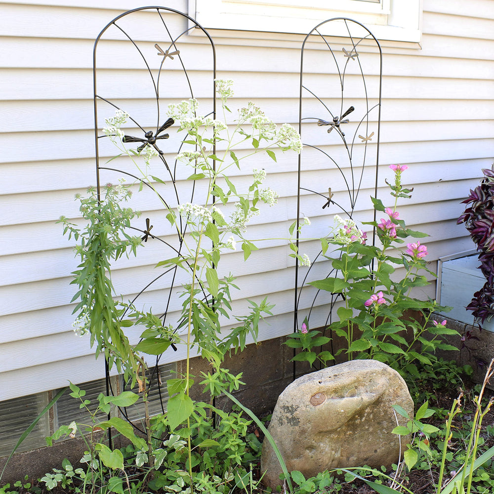 Sunnydaze trellis installed in a planter supporting climbing vines and saving ground space