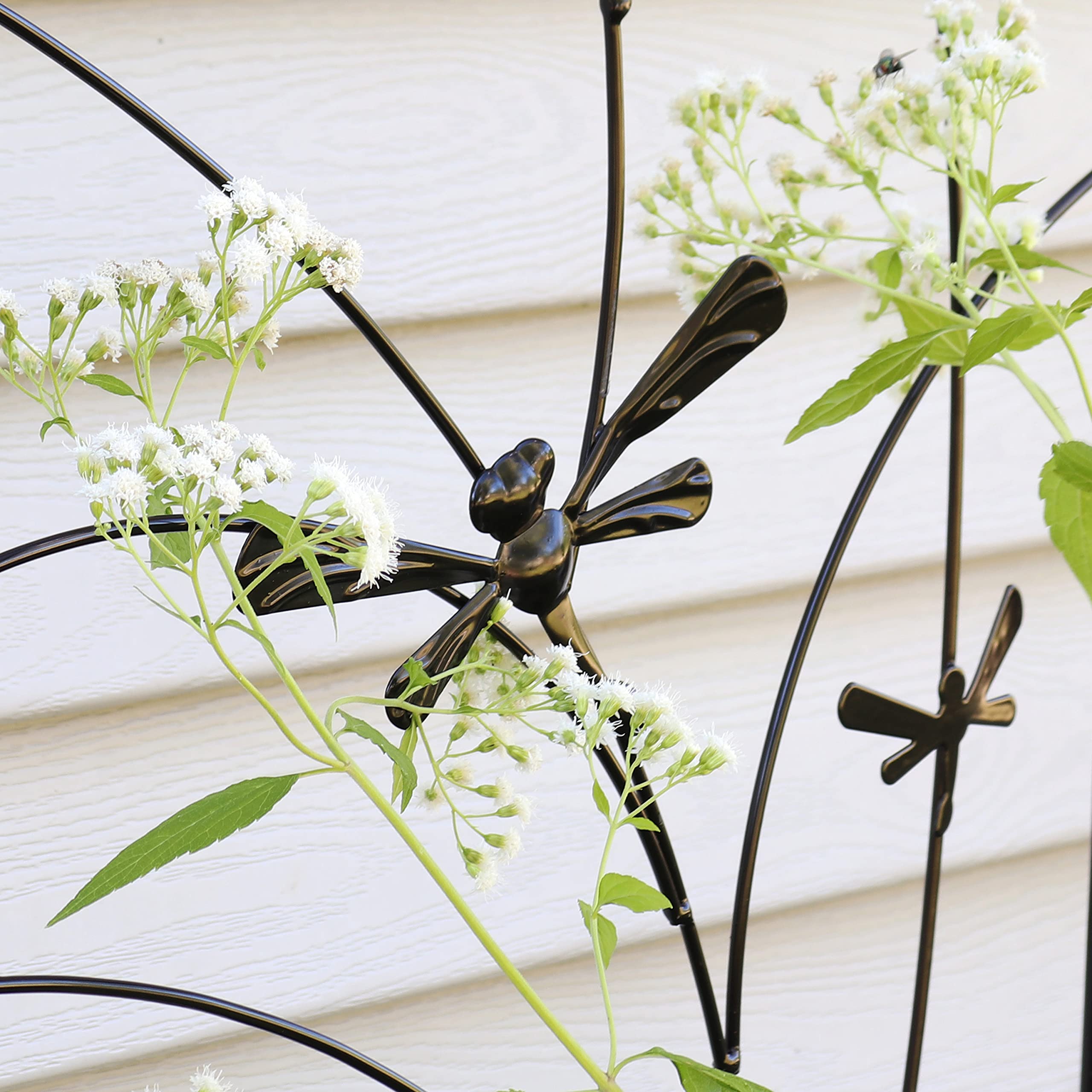 Sunnydaze trellis bearing climbing roses for better air flow and organized vertical growth