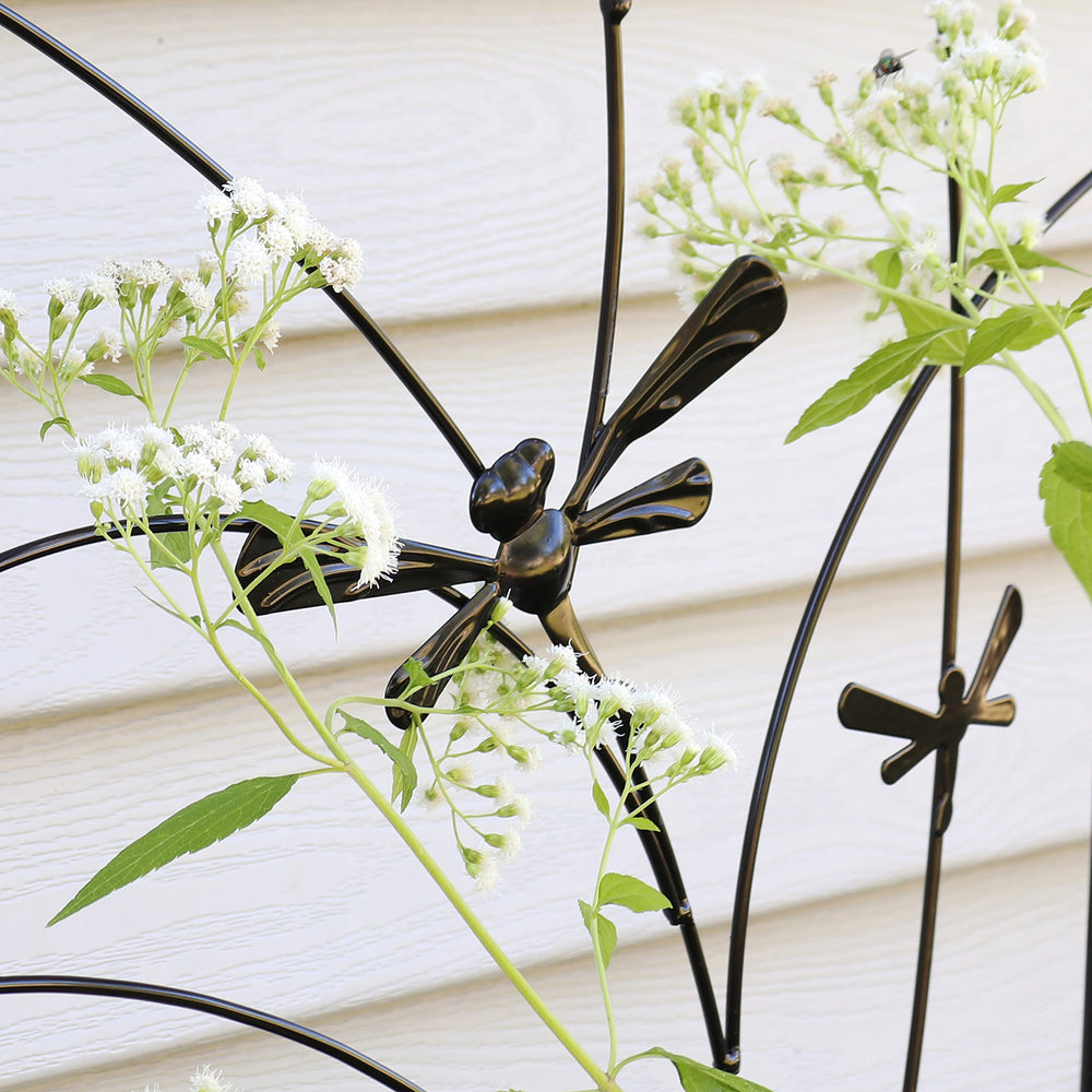 Sunnydaze trellis bearing climbing roses for better air flow and organized vertical growth