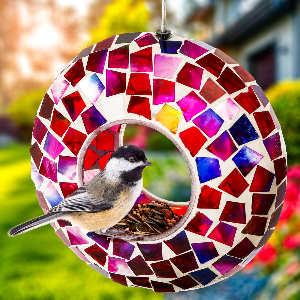 sunnydaze viewed from window for close birdwatching convenience and enjoyment