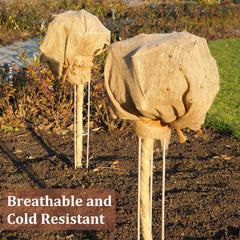 Sunnyglade burlap draped over a potted plant protecting from cold while allowing airflow